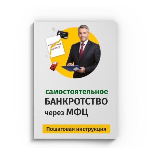 Пошаговая процедура банкротства через МФЦ в Мытищах